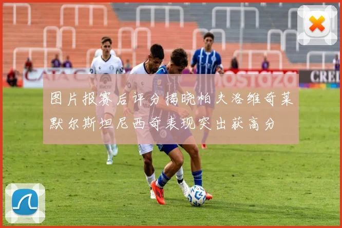 图片报赛后评分揭晓帕夫洛维奇莱默尔斯坦尼西奇表现突出获高分